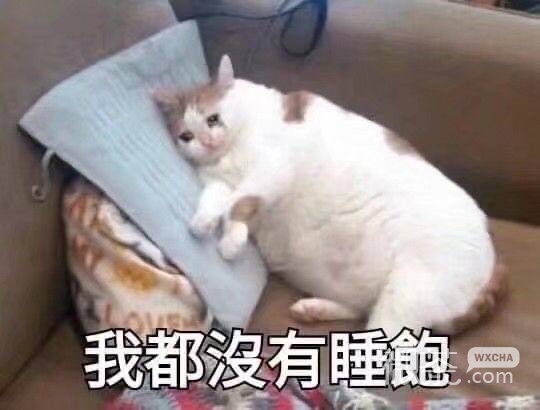 沉思微信恶搞斗图表情包