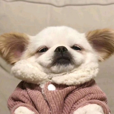 可爱搞怪的微信非主流头像合集