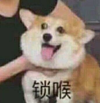 我饿了微信恶搞斗图表情包