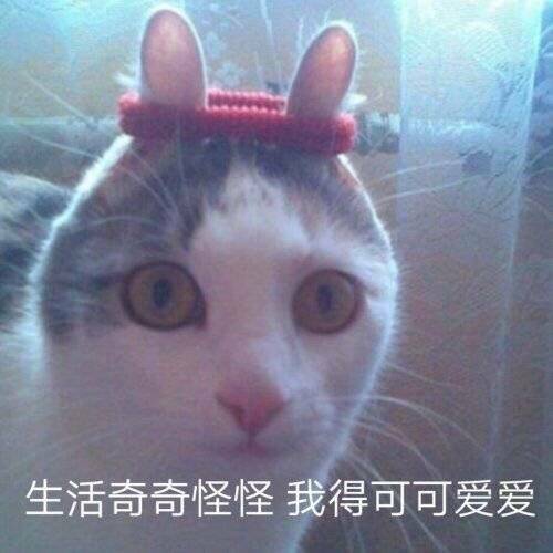 我饿了微信恶搞斗图表情包