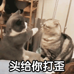 微信金馆长小人动态表情包