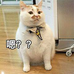 我操恶搞斗图表情包