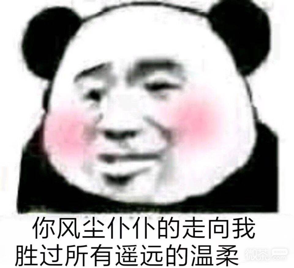 什么微信恶搞斗图表情包
