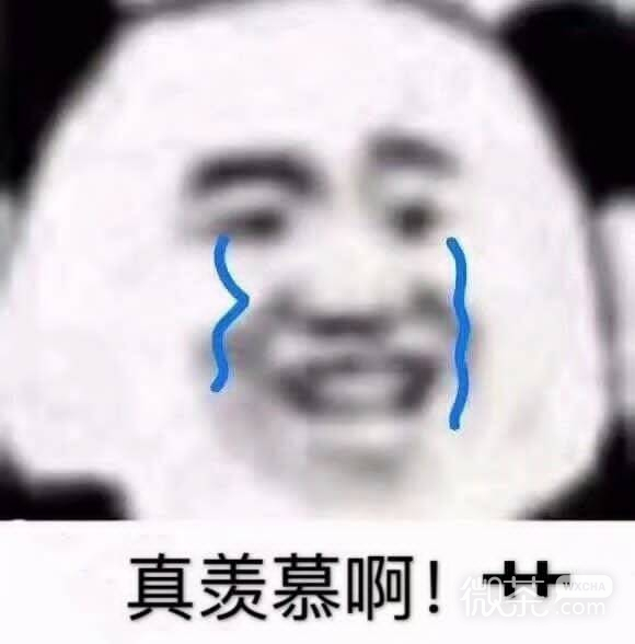 废物微信恶搞斗图表情包