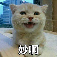 趴着微信恶搞斗图表情包