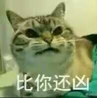 趴着微信恶搞斗图表情包