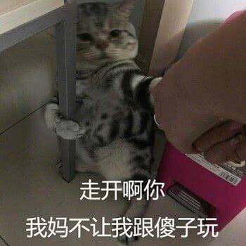 我特么微信恶搞斗图表情包