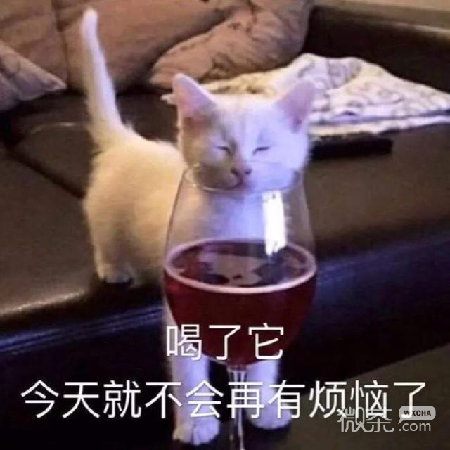 微信近期斗图恶搞表情包2019/12/21