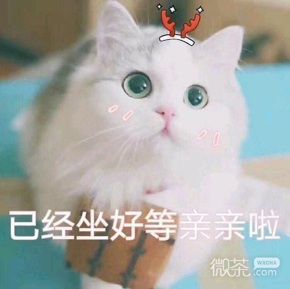 微信近期斗图恶搞表情包2019/12/20（二）