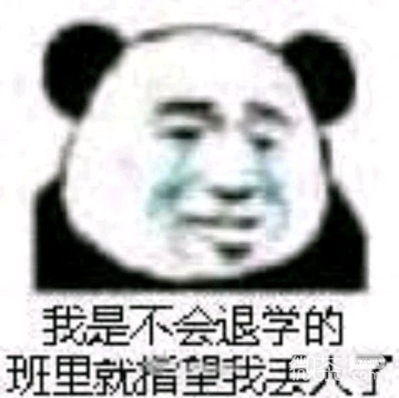 微信近期斗图恶搞表情包2019/12/20（二）