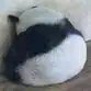 微信近期斗图恶搞表情包2019/12/20（二）