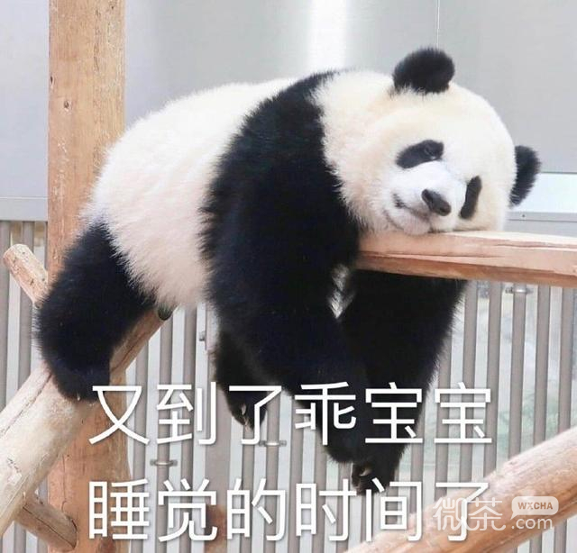 微信近期斗图恶搞表情包2019/12/21