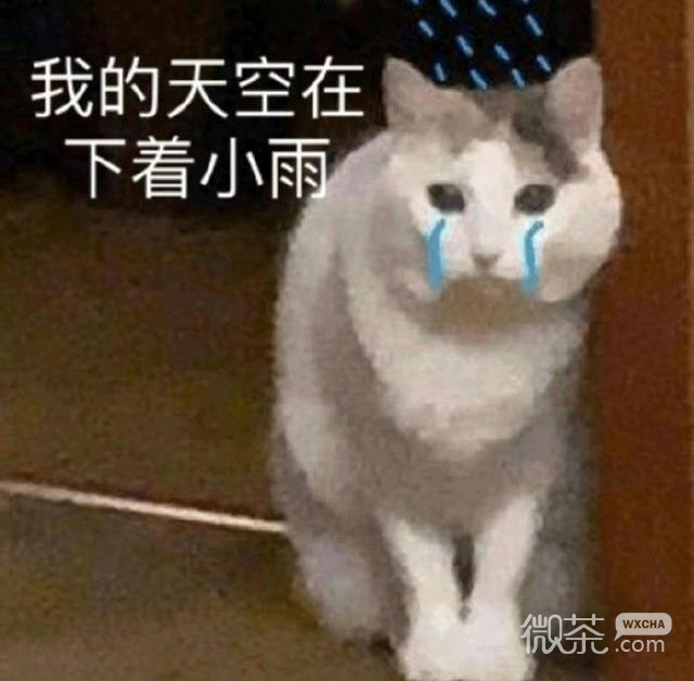 微信近期斗图恶搞表情包2019/12/21