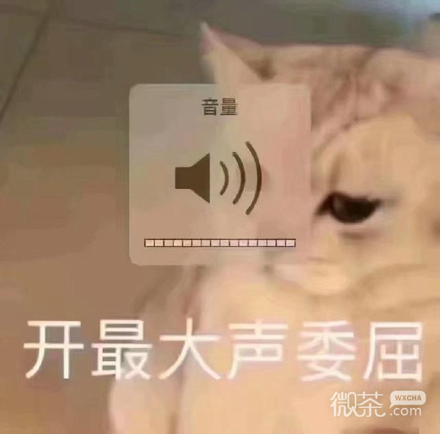 微信近期斗图恶搞表情包2019/12/21