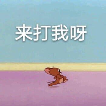 微信近期斗图恶搞表情包2019/12/21