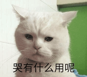 微信近期斗图恶搞表情包2019/12/21