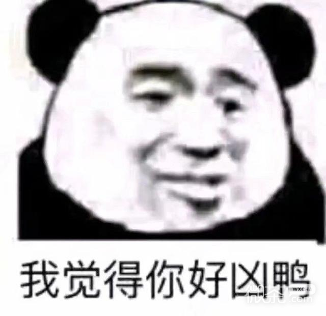 微信近期斗图恶搞表情包2019/12/21