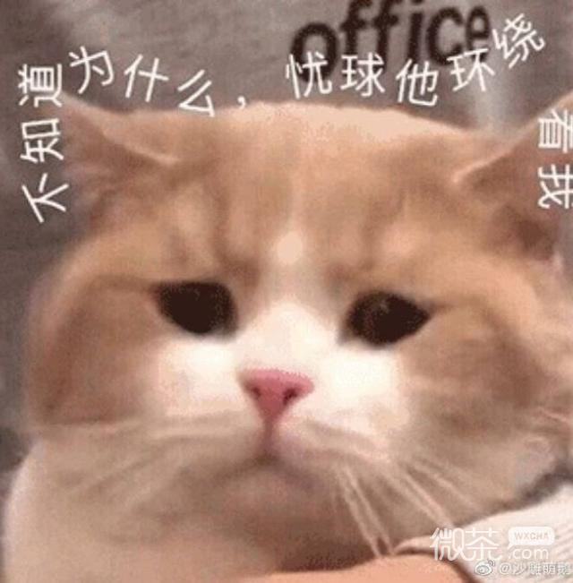 微信近期斗图恶搞表情包2019/12/21