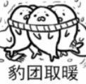 可爱萌萌哒的微信海豹带字表情包