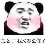 微信近期斗图恶搞表情包2019/12/24