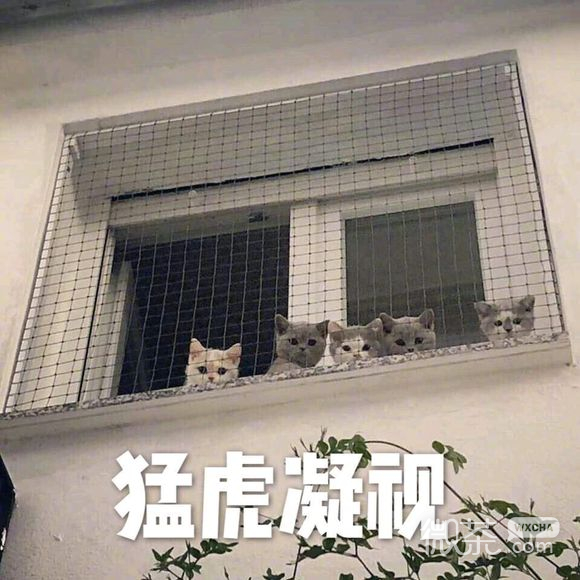 微信近期斗图恶搞表情包2019/12/24