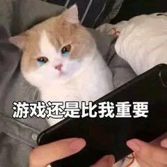 微信近期斗图恶搞表情包2019/12/24