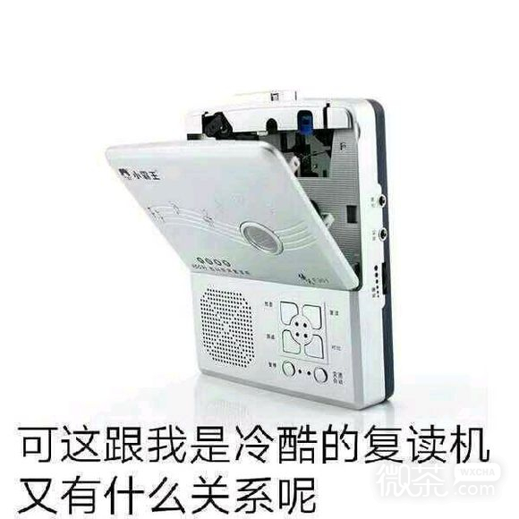 微信近期斗图恶搞表情包2019/12/24