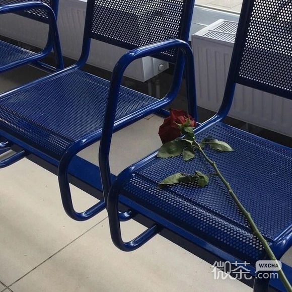 清新简洁文艺朋友圈配图