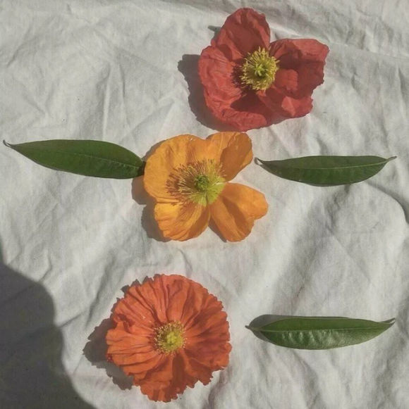 淡蓝天空朋友圈配图