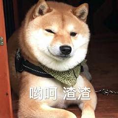退下微信恶搞斗图表情包