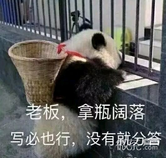 微信近期斗图恶搞表情包2019/12/26