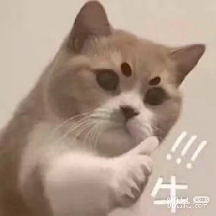 微信新年专属的搞笑斗图表情包