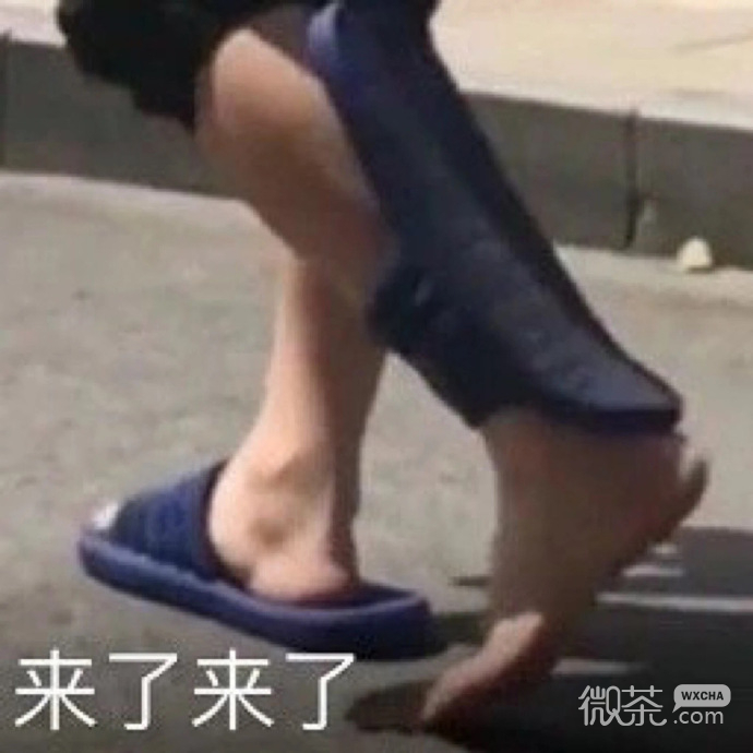 微信新年专属的搞笑斗图表情包