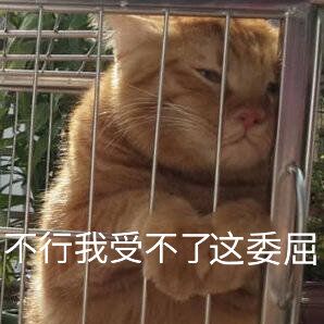 我哭了微信群聊斗图表情包