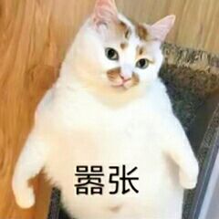 佩服佩服微信恶搞斗图表情包