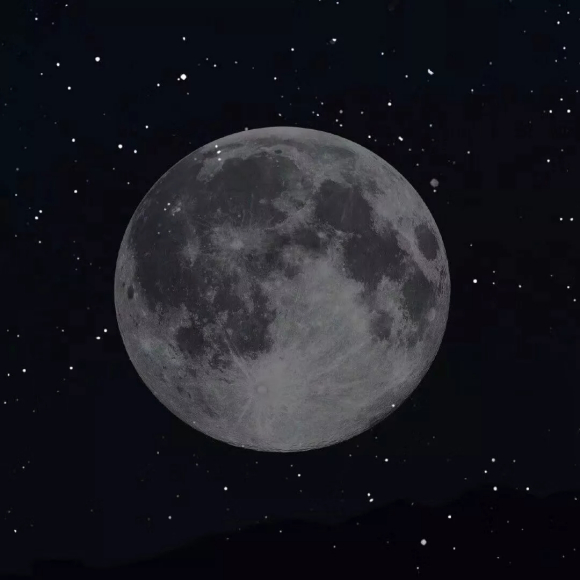 小清新花朵朋友圈配图