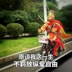 微信近期斗图恶搞表情包2019/12/30