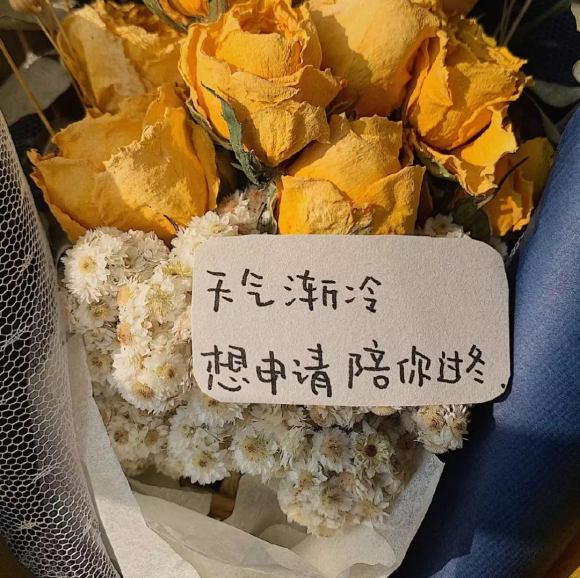 小清新花朵朋友圈配图