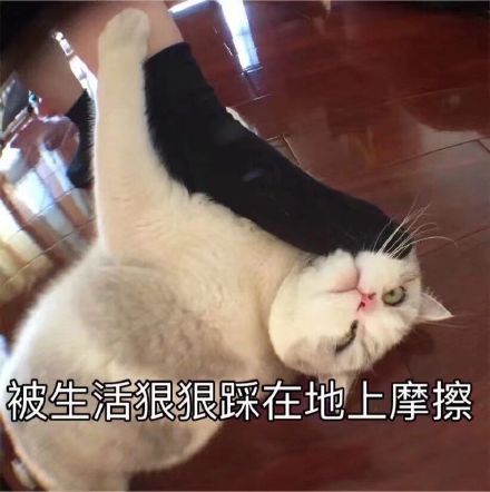 哇微信恶搞斗图表情包