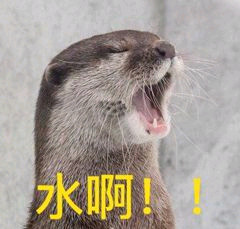 哇微信恶搞斗图表情包