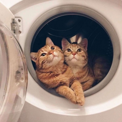 俏皮搞怪的微信个性情侣头像