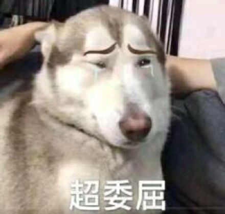 微信恶搞动态二次元斗图表情包