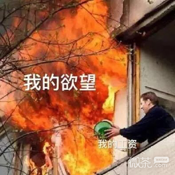 微信每日沙雕斗图怼人表情包