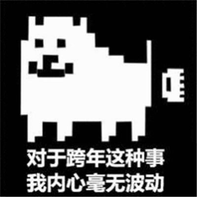 跨年专用的微信恶搞带字表情包