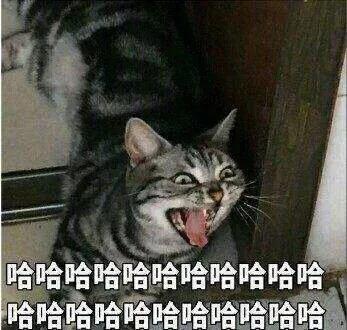 微信近期斗图恶搞表情包2020/1/3（二）