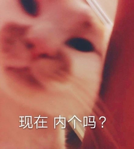 骄傲微信恶搞斗图表情包