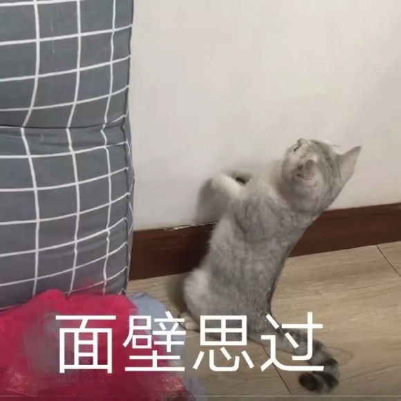 微信近期斗图恶搞表情包2020/1/3（二）