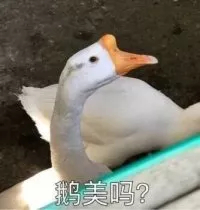 微信近期斗图恶搞表情包2020/1/3（二）