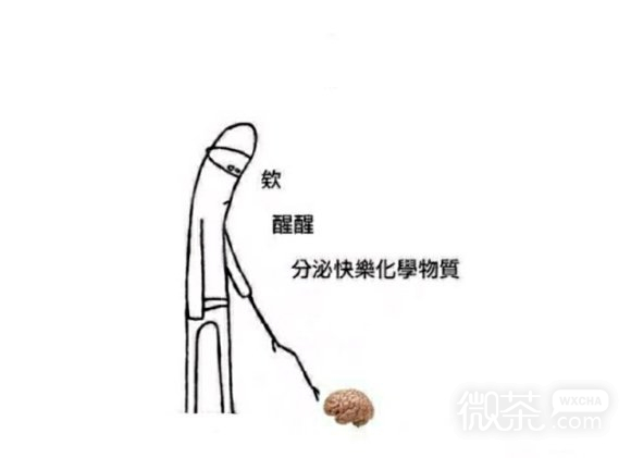 真的？微信恶搞斗图表情包