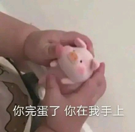 真的？微信恶搞斗图表情包